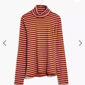 Madewell Ribbed Turtleneck in Chilton Stripe